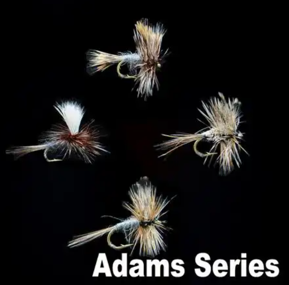 adams如何保存cmd文件
